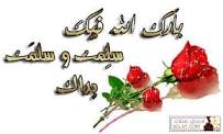 IMG_4619.jpeg