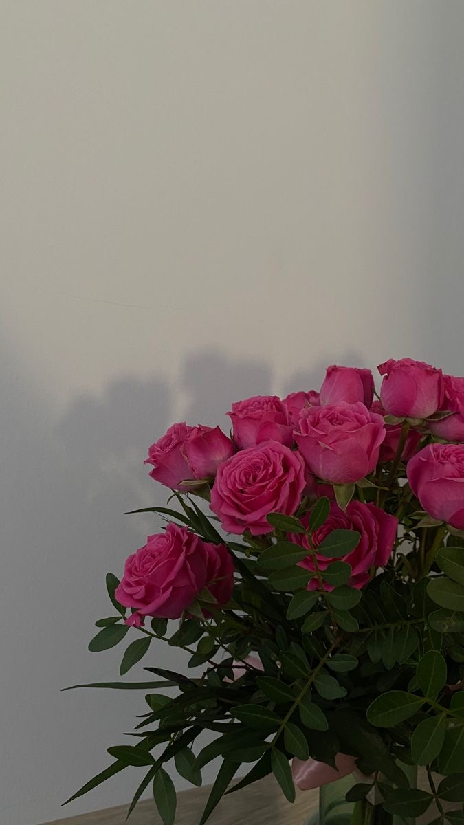 IMG_3012.jpeg