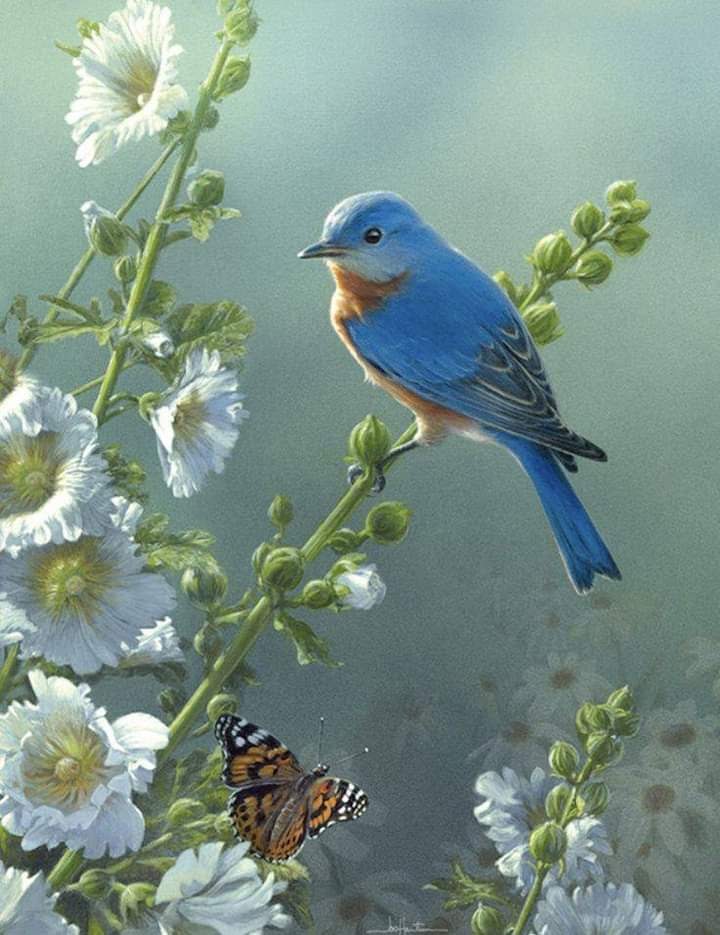 FB_IMG_1692002583990.jpg