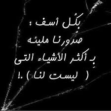 IMG_8546.jpeg