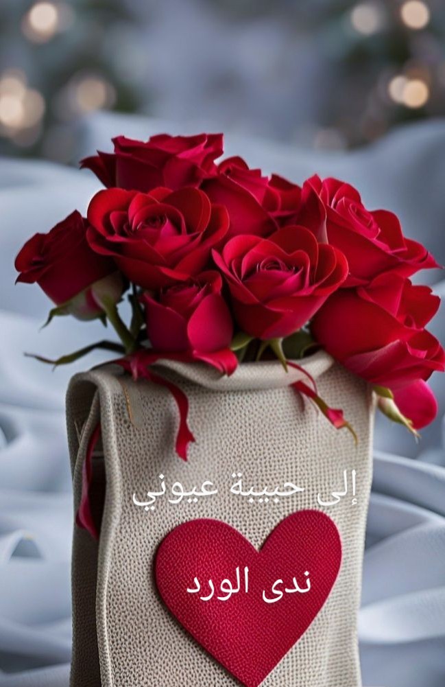 ٢٠٢٤٠٥٠٧_١٧٢١٠٩ (1).jpg