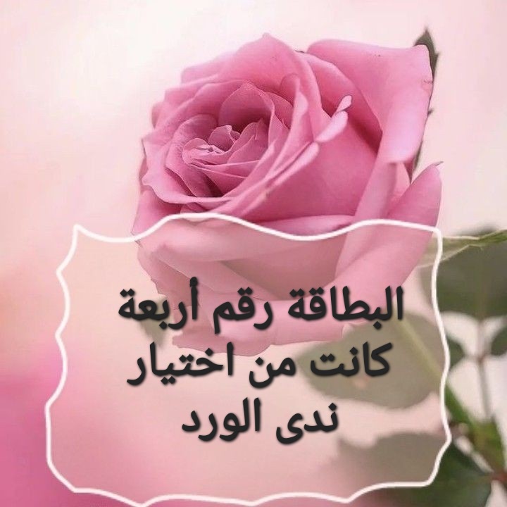 c3493d1e2ee32e604c504953868a0946.jpg