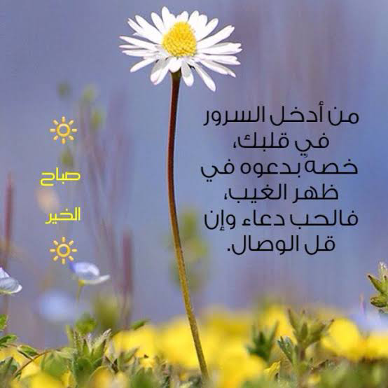 1719180890765.png