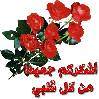 567a1cf9ff8c670d651d822e78a7f987_screen.png