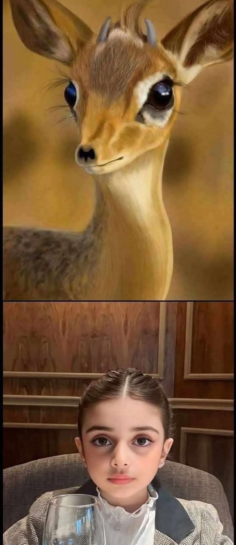1000077407.jpg