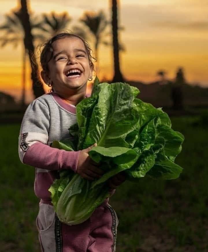 1000083348.jpg