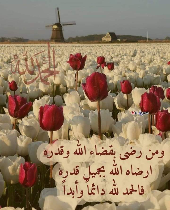 FB_IMG_1641262233906.jpg