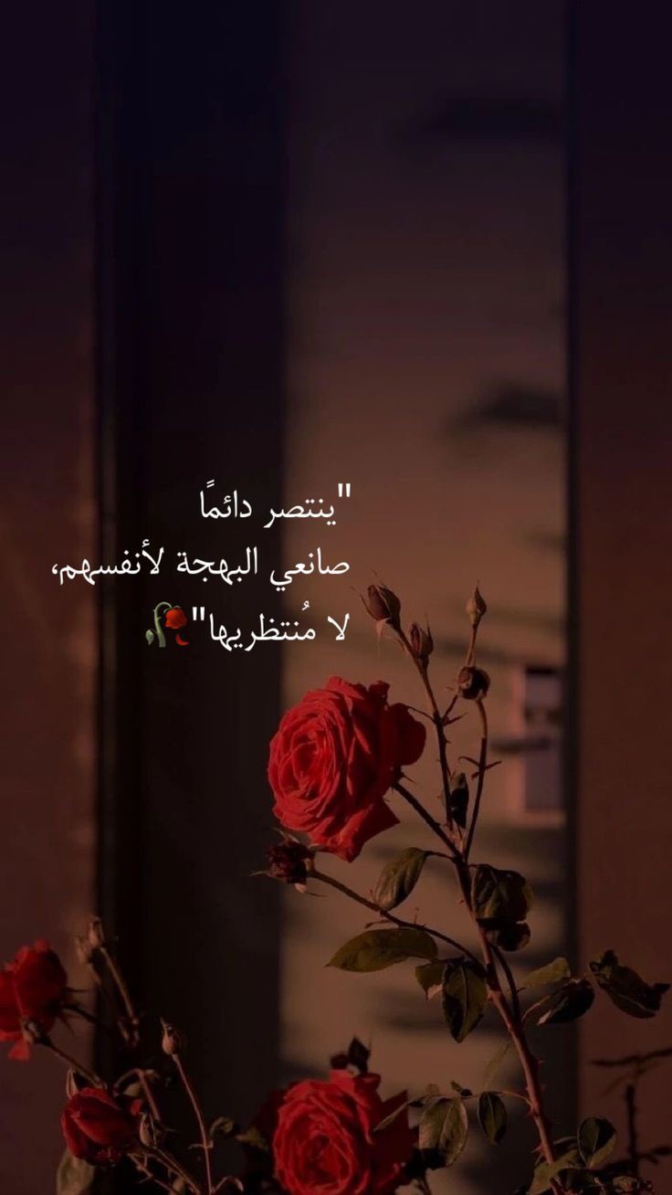 60e656aab2ed094313305530c8660d4a.jpg