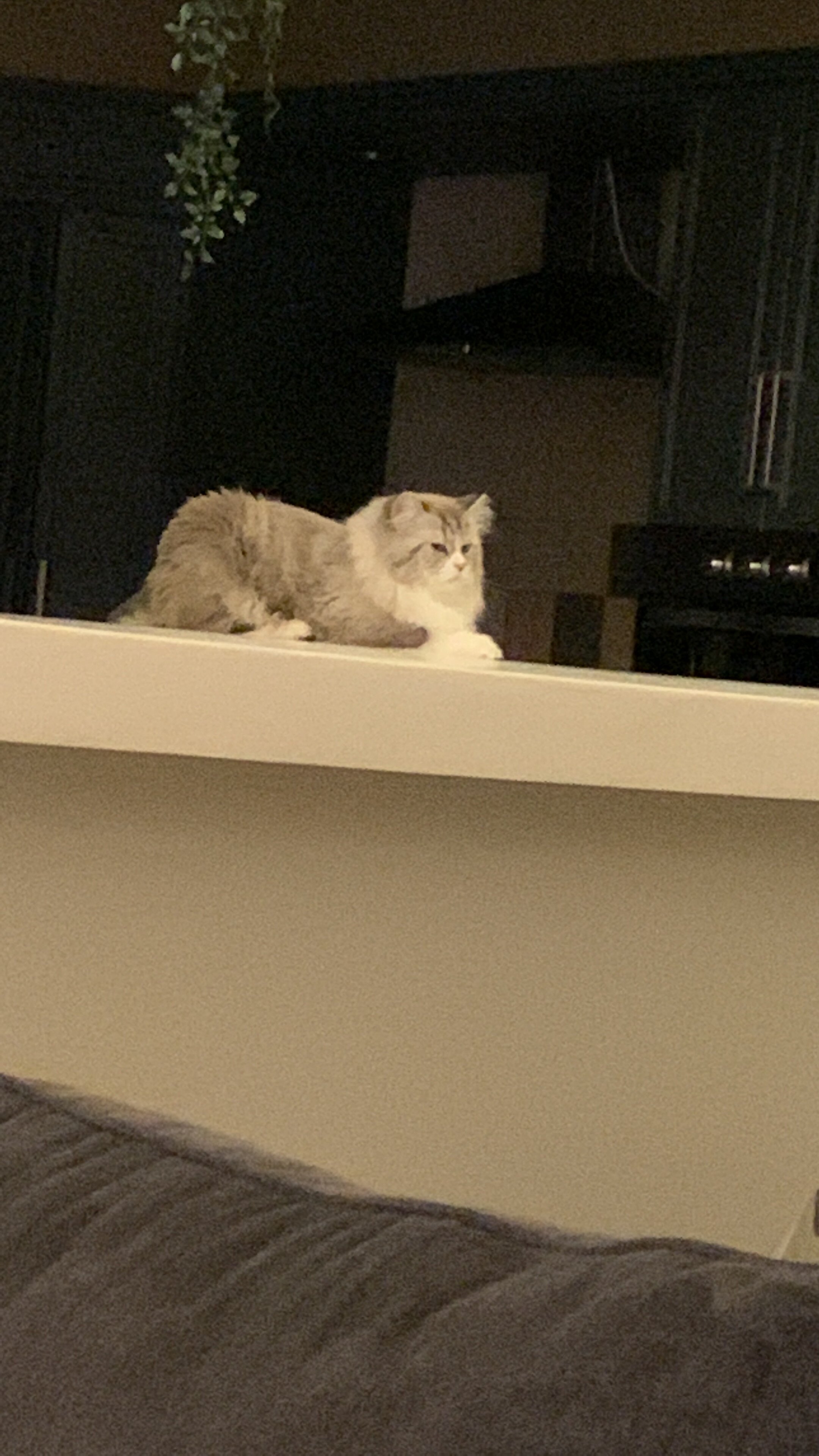 BD7C9362-022D-4973-AF96-7679D57661EF.jpeg