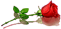 1699301805194.png